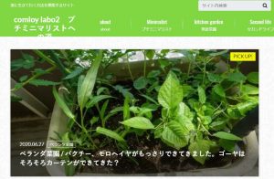 comloy labo2 プチミニマリストへの道